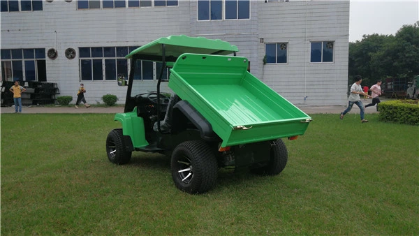 Special Design off Road Farming 5kw 48V Electric Utility Vehicle Farm Truck