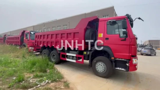 Camión volquete todoterreno Sinotruk 6X6 con 11 neumáticos para Bad Roads Camion Benne