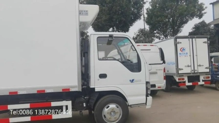 Japón Isuzu 600p 4X2 Tipo 5tons Camión de helados refrigerado de 6 toneladas