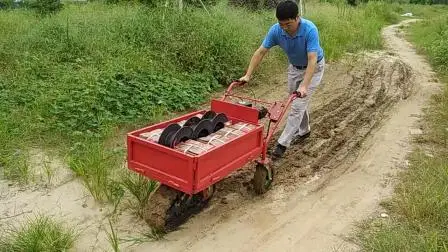 Vehículo de Transporte Multifuncional - Vía Única con Motor de Gasolina